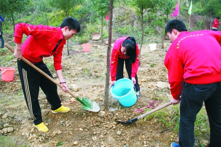重庆3500名大学生璧山植树2.7万棵 - 园林资讯