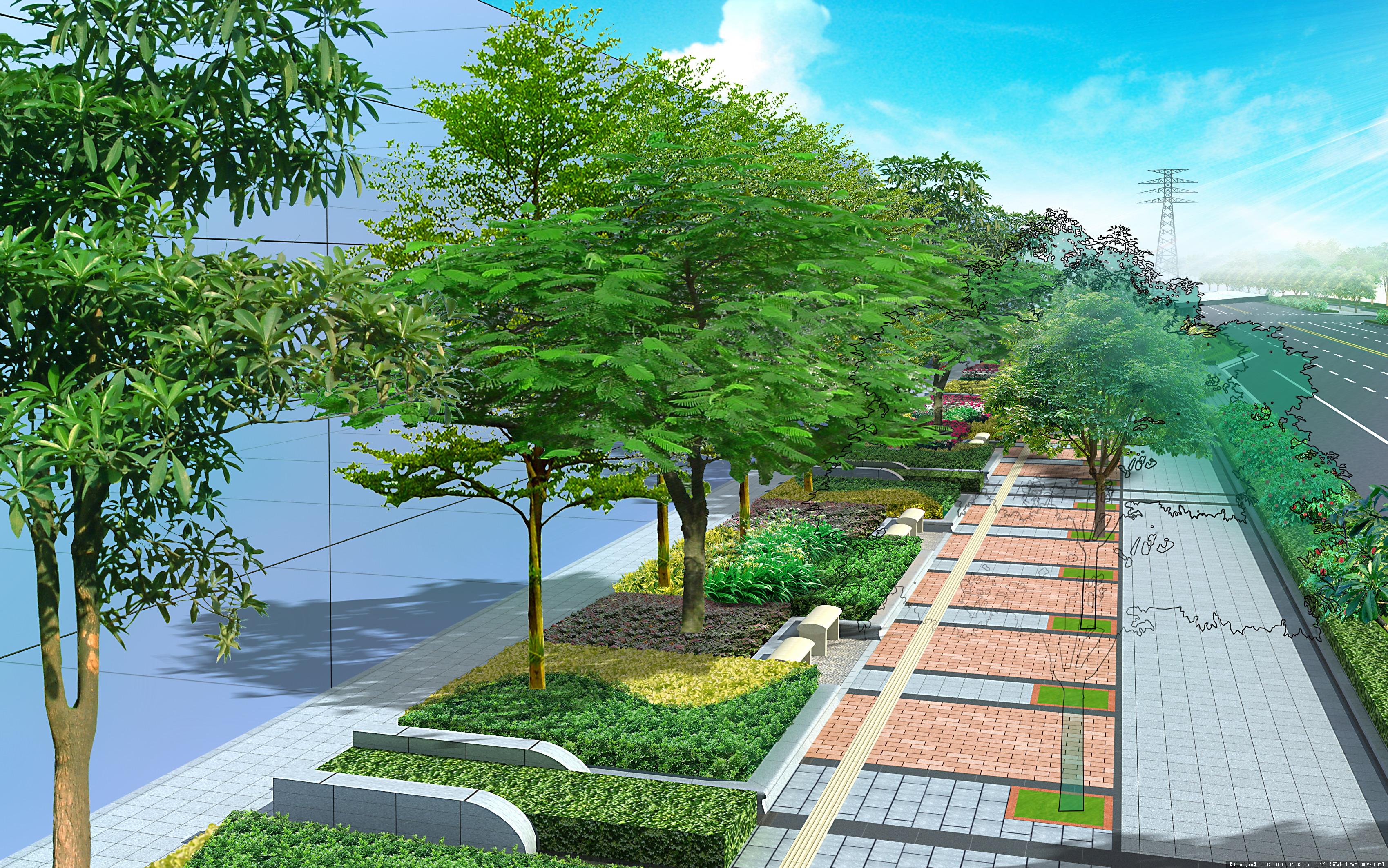一些道路两侧绿化的效果图|空间|景观设计|蒋荣荣 - 原创作品 - 站酷 (ZCOOL)