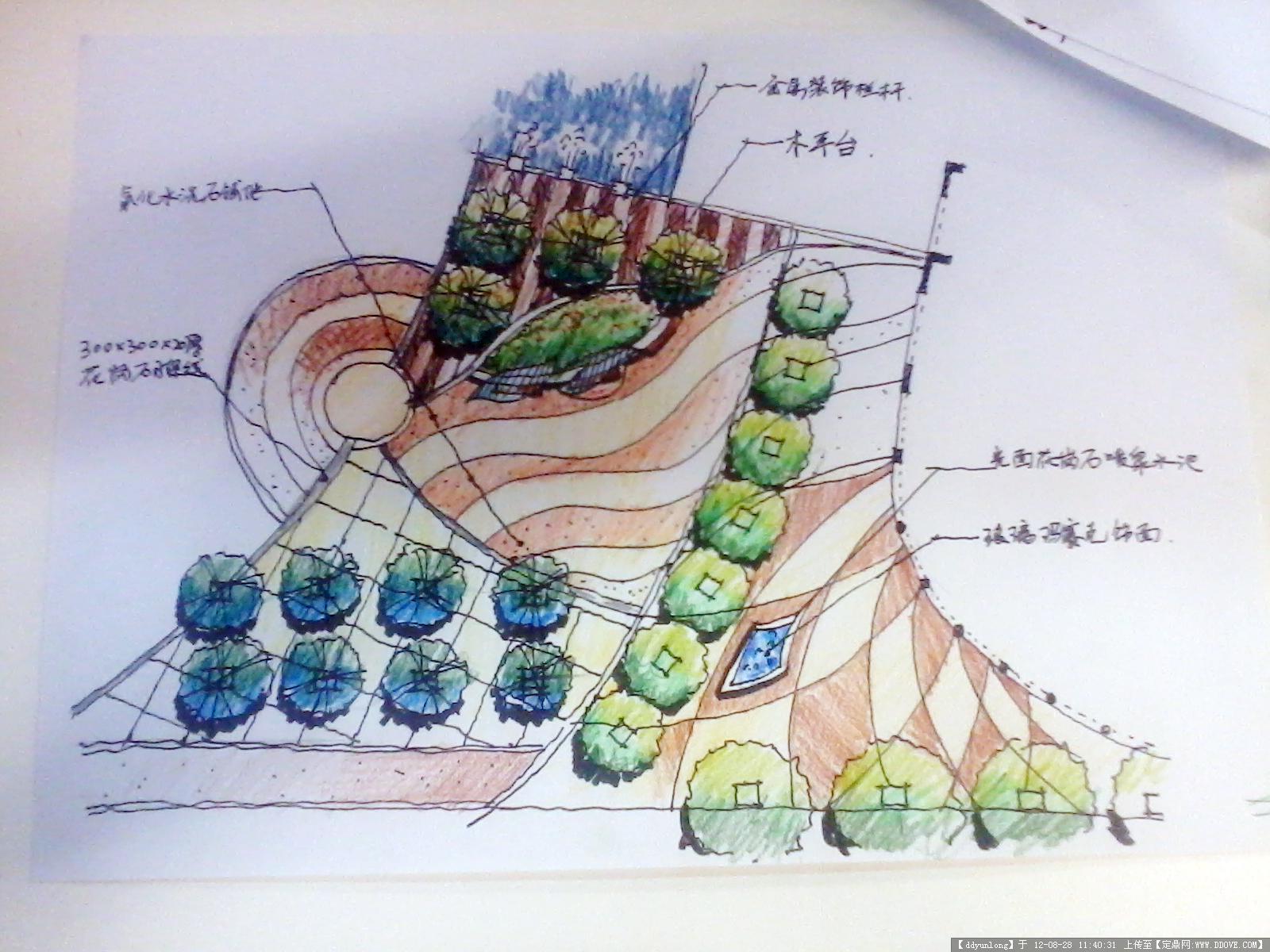 【干货分享】-植物的平面图画法 - 知乎