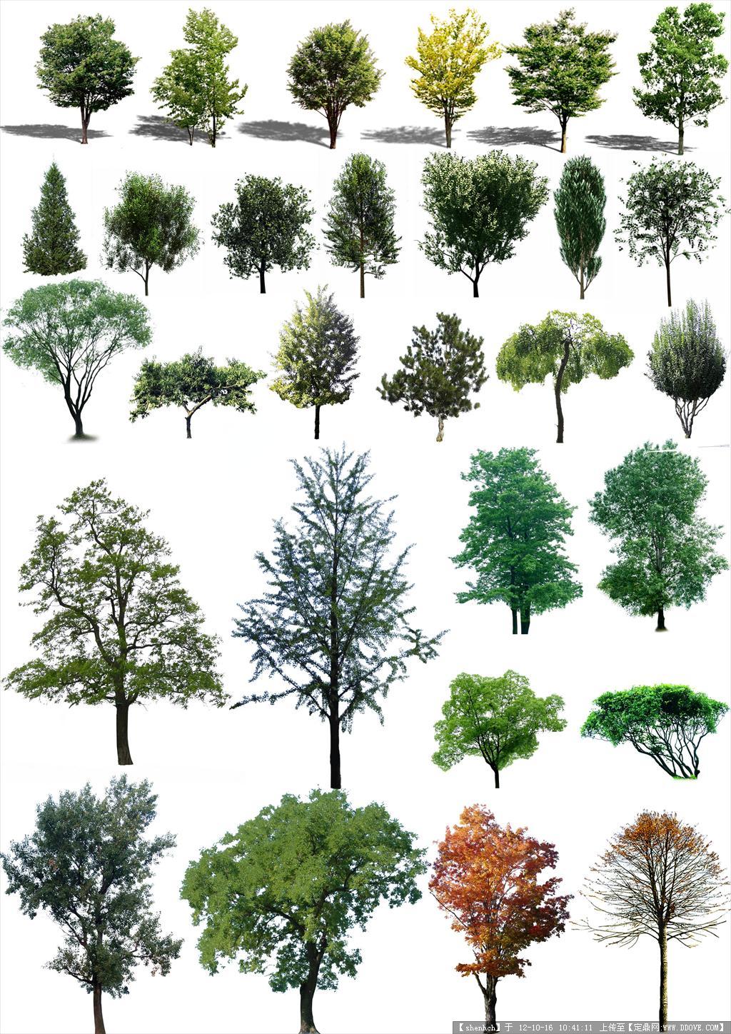 PSD后期树木模型()