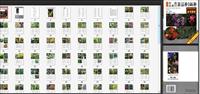景观植物实用图鉴PDF电子书