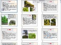 华中150种植物详细介绍