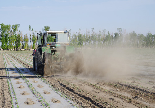 新赛股份:105万亩棉花机械化封土作业抗旱情
